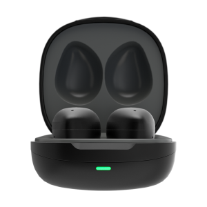 The Fitness Earbuds