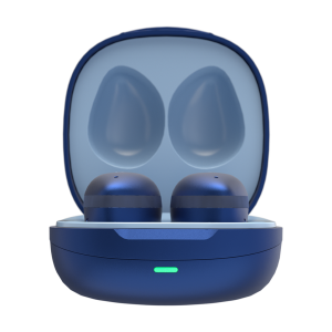 The Fitness Earbuds